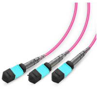 Customized MTP Conversion Cables163.png